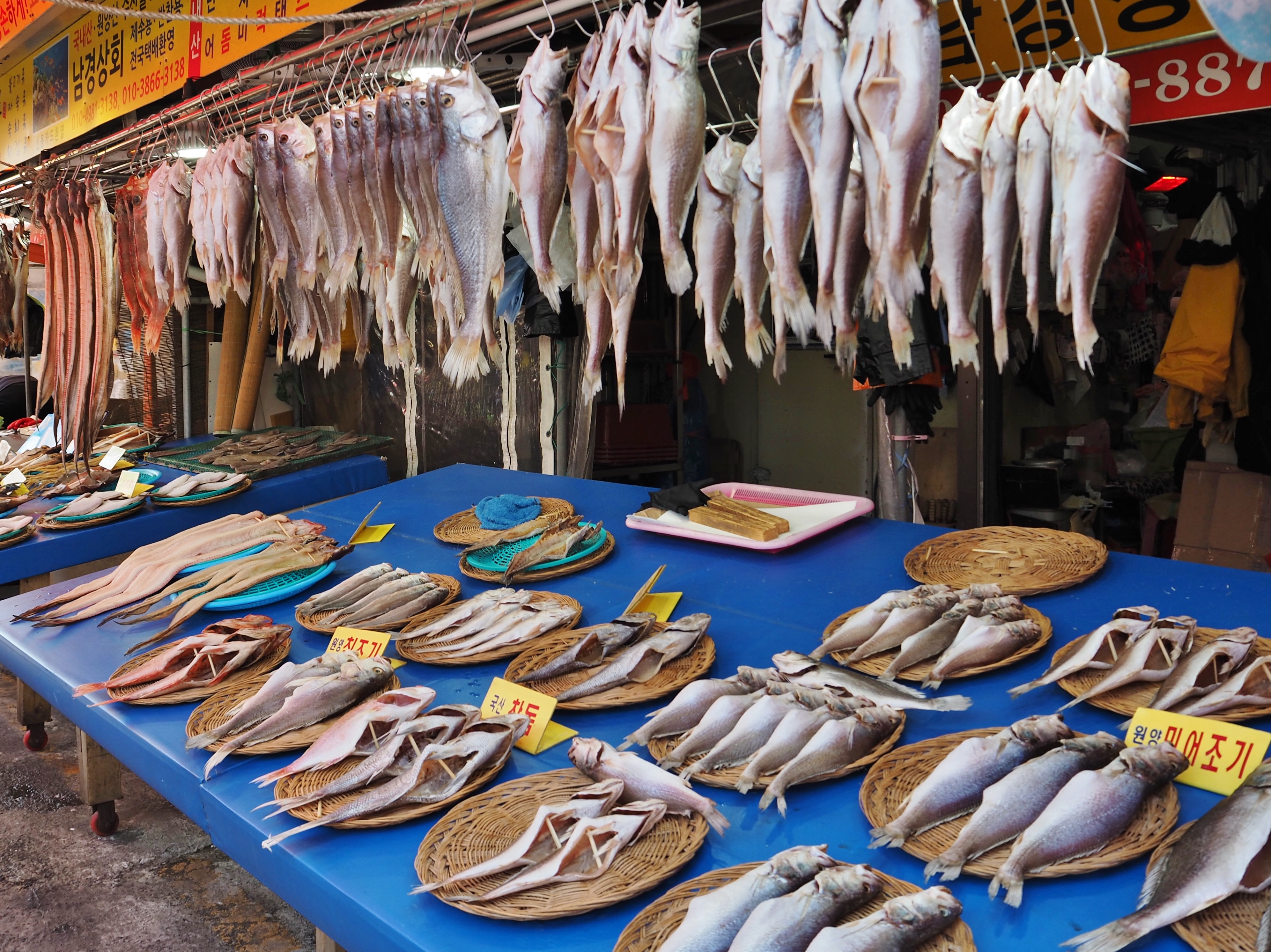 Don’t miss South Korea’s largest seafood market
