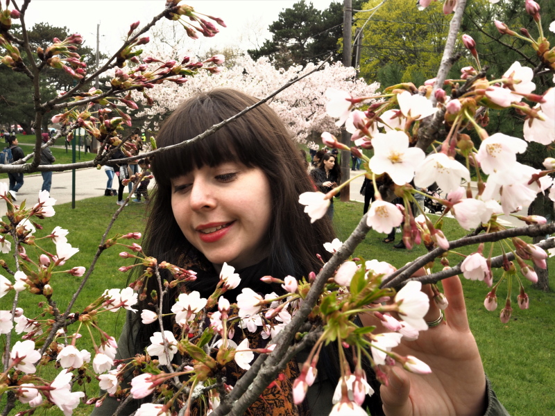 La Petite Watson Featured on Wonder Forest - Finding Cherry Blossoms in Toronto